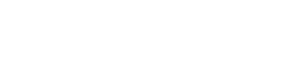 New Leader